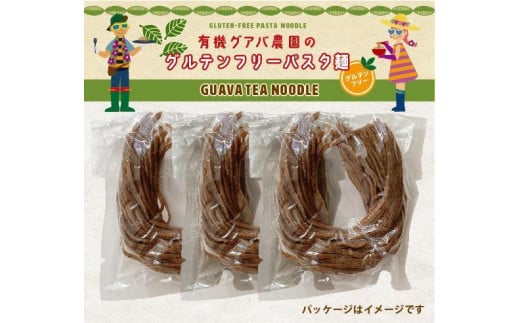 有機グアバ農園のグルテンフリー玄米パスタ麺 100g×9袋セット | グルテン フリー グルテンフリー 食品 麺 めん パスタ 人気 おすすめ 高知県 南国市