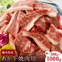 【ふるさと納税】肥後のあか牛（熊本県産）焼肉用 500g 1000g 南阿蘇食品 《90日以内に出荷予定(土日祝除く)》 熊本県 南阿蘇村