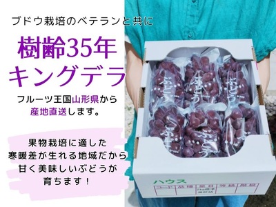 【定期便：全３回】旬のフルーツ定期便（キングデラ、和梨、シャインマスカット）　0140-2601