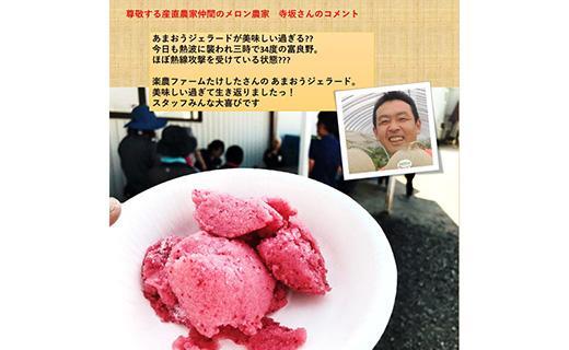 武下さんちのあまおうジェラート 12カップ ギフト 濃厚なのに後味さっぱり！ご家族5，6名様向け