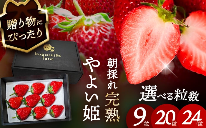 
                  【選べる個数】 やよい姫 9粒 / 20粒 / 24粒 いちご フルーツ 果物 愛西市 / くぼ苺農園 【配達不可：北海道・沖縄・離島】 [AECJ012]
                