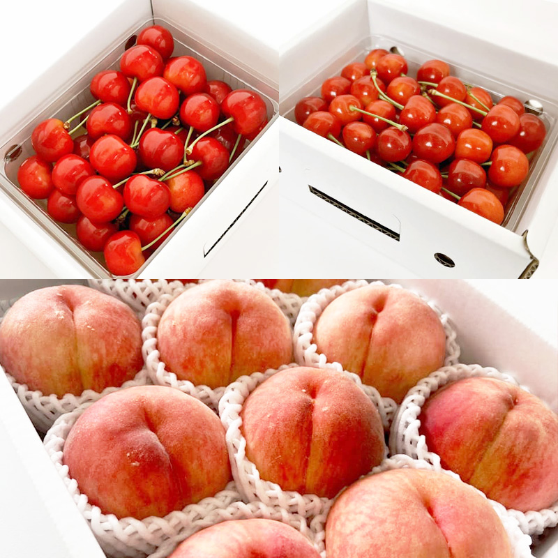 【定期便6回】山形の農家さんが選ぶ！美味しいものスペシャル便【令和8年産先行予約】FS25-107 くだもの 果物 フルーツ 山形 山形県 山形市 2026年産