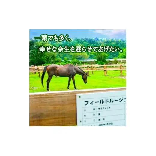 【 支援 】 支援引退馬 100万 