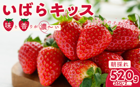 【2026年/先行予約】茨城県品種いばらキッス(２パック×1箱)【1月～発送】 | いちご いちご いちご いちご いちご
