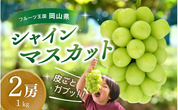 シャインマスカット 【2027年先行予約】 花笑み農園 シャインマスカット1kg（2房）贈答用 （優品以上） 大粒でずっしり！ 岡山 真庭 シャインマスカット 大粒 ぶどう 2027年9月下旬～ 受付順に発送予定 【hana015-04】