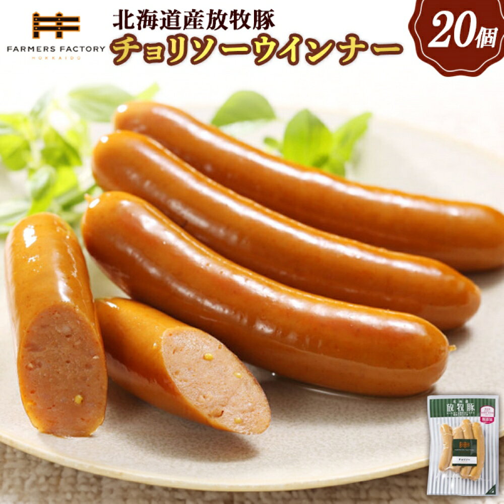 【ふるさと納税】北海道産放牧豚 無添加チョリソーウインナー ×20パック | 北海道産 放牧豚 無添加 チョリソーウインナー ウインナー ソーセージ チョリソー ピリ辛 辛い 豚肉 ポーク 肉加工品 加工品 セット 詰め合わせ おつまみ お取り寄せ 北海道 恵庭市 恵庭【120022】