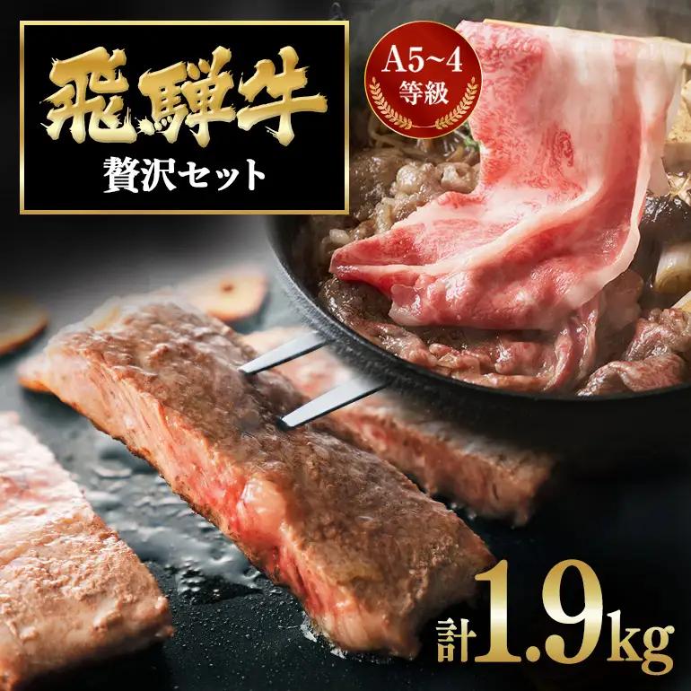 飛騨牛 A5～4等級 贅沢セット (A01-021)