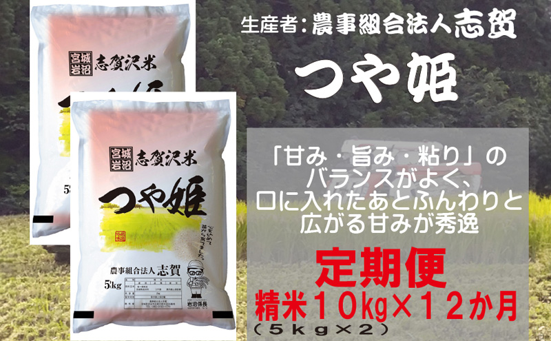 【12ヶ月定期便】宮城県岩沼市産 志賀沢米 つや姫 精米10kg(5kg×2）