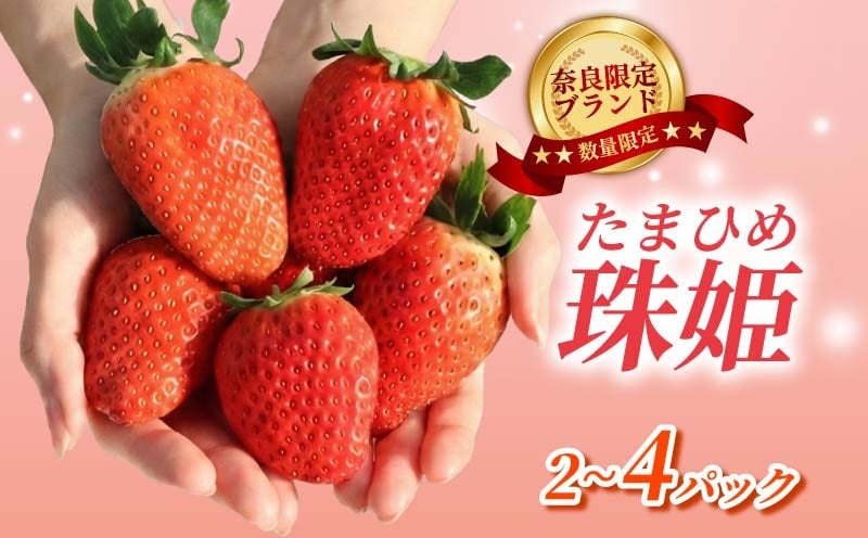 
                  【数量限定】いちご 珠姫 たまひめ 2~4パック 6～15粒 1～4月発送 いちご 苺 イチゴ 大粒 ブランド 旬 産地直送 新鮮 レア 希少品種 めいとく農園 奈良県 奈良市
                
