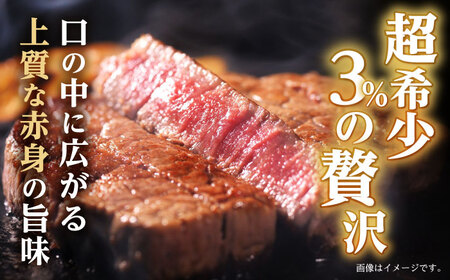 【6回定期便】極上 ヒレ ステーキ 300g（150g×2枚） / ヒレステーキ 長崎和牛 A4〜A5ランク 希少部位 / 諫早市 / 野中精肉店[AHCW048]