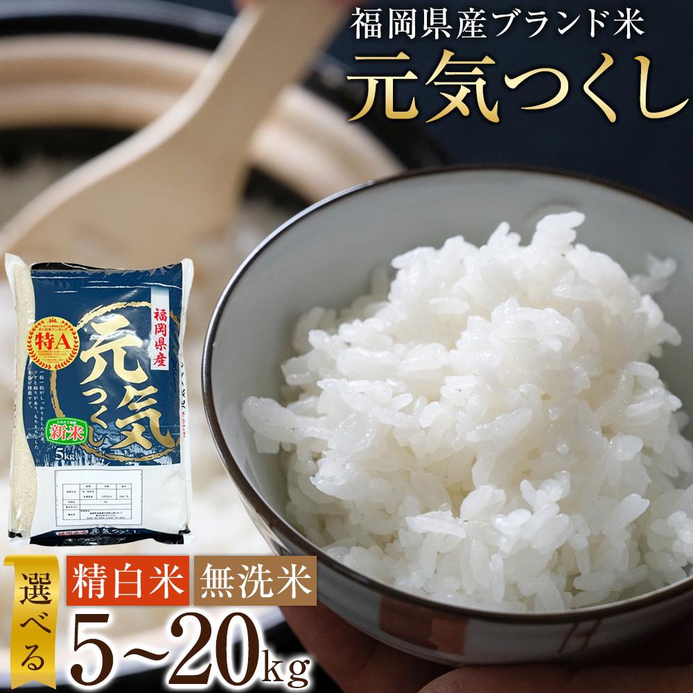 【ふるさと納税】＜選べる精米・内容量／白米・無洗米／5kg・10kg・20kg＞福岡県産ブランド米「元気つくし」令和7年産 | 楽天ふるさと納税 米 お米 こめ 白米 ブランド米 ごはん ご飯 元気つくし 20kg おにぎり お弁当 食品 福岡県産 国産 送料無料