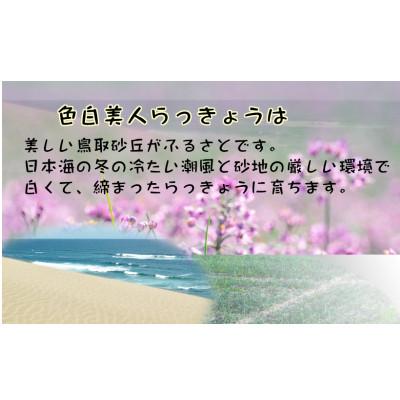 ふるさと納税 北杜市 ちょっと大粒　「色白美人らっきょう」　国産無添加　500g×2パック |  | 01
