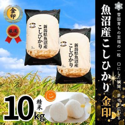 ふるさと納税 津南町 【令和7年産】魚沼産コシヒカリ金印(精米)10kg