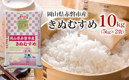 きぬむすめ 10kg（5kg×2袋） 精米 白米 米 特Aランク きぬむすめ