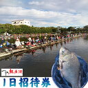 【ふるさと納税】 釣り 体験 つり処椎の木湖 1日ご招待券 へら鮒 フィッシング スポーツ アウトドア 体験 チケット 観光 旅行