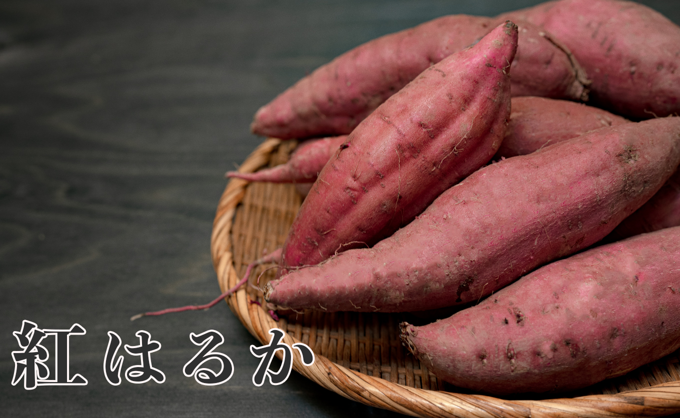 さつまいも 熟成 紅はるか 約10kg 国産 焼き芋 焼芋 やきいも しっとり 蜜芋 芋 おいも サツマイモ さつま芋 べにはるか スイーツ おやつ 産地直送 栽培期間中農薬不使用 高知県 大月町産