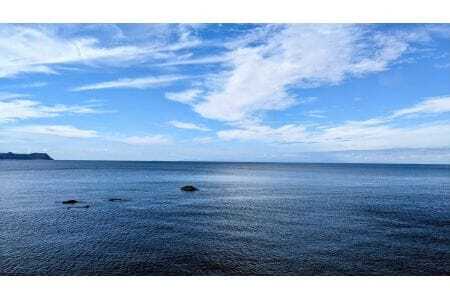 M144　【冷蔵】釜揚げしらす　紀州湯浅　まるとも海産　