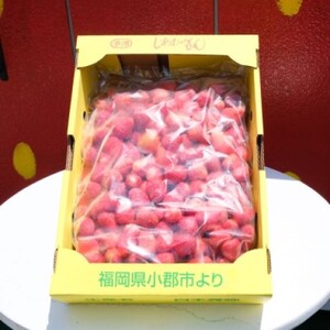 いちご 白木のいちご 旬のおいしさそのまま 冷凍いちご (品種混合) 2kg イチゴ 苺 果物 デザート ※配送不可：沖縄・離島