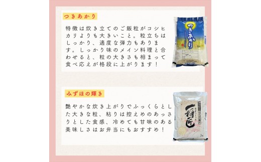 令和8年産 新潟県上越市産米 食べ比べ 9kg 【コシヒカリ 5kgと2kg×2品種】 新之助 こしいぶき つきあかり みずほの輝き ランダム おまかせ セット 【3月下旬発送】 新米 精米 米ヴィレ