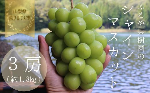 【令和7年発送・先行予約】南アルプス市産シャインマスカット(3房・約1.8kg)真心で育てる大地の宝石！ ALPDX003
