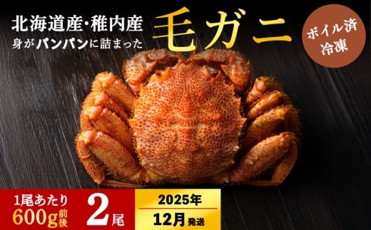 【2025年12月上旬発送】【ボイル済み急速冷凍】身がパンパンに詰まった稚内産毛ガニ600g前後×2尾（合計1.1キロ以上）