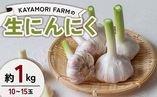 
            KAYAMORI FARMの生にんにく 約1kg（10～15玉） F6U-378
          