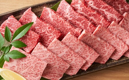 佐賀牛 焼肉用 艶さし 佐賀牛【500g】【A4〜A5】