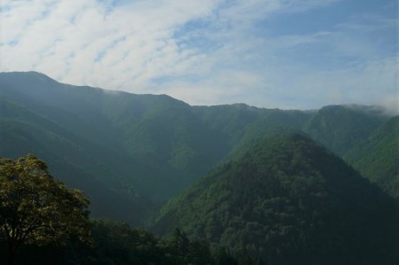 飛騨市産 5等級飛騨牛 盛り合わせパック ごちゃまぜ ミックス 300g ギフト お中元 お歳暮[DE012]