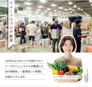 SB0918　庄内砂丘の旬夏　「浜王メロン」　約5kg(青肉/3～5玉入) 