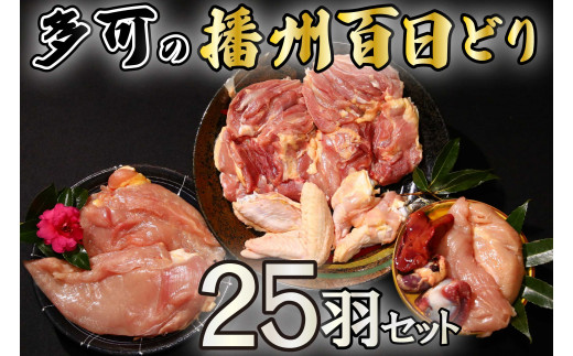 
多可の播州百日どり25羽セット[010] 鶏肉 もも肉 むね肉 ささみ 手羽先 手羽元 肝 砂肝 25羽分 播州百日どり 定期便可能 冷蔵
