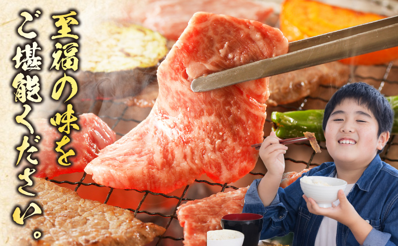 宮崎牛 カルビ焼肉500g_M389-009-01
