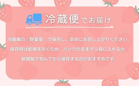 こまつイチゴ 紅ほっぺ 【 4パック（約1kg）】苺 べにほっぺ | 石川県 小松市 JAあぐり