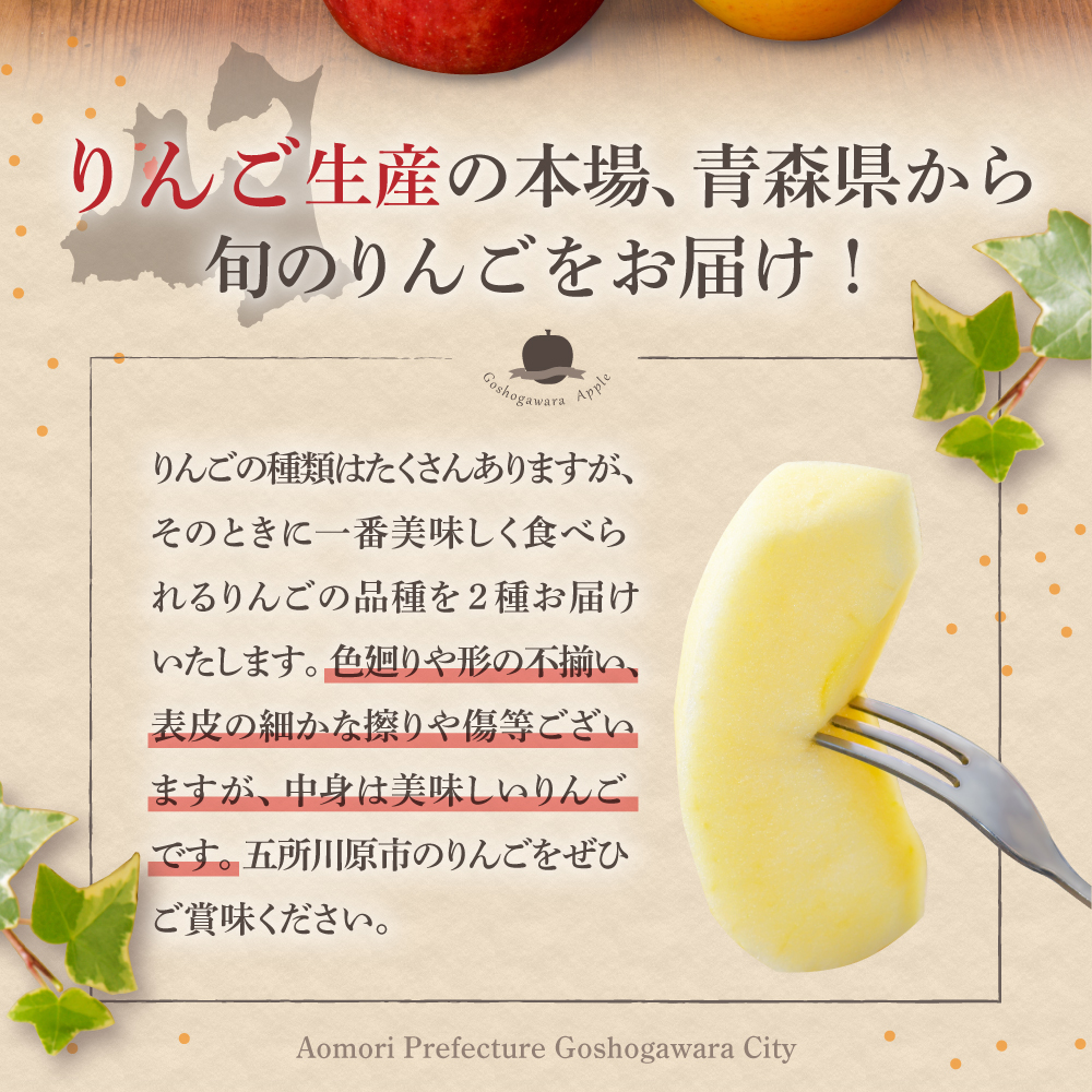 【2026年12月後半発送】りんご 約5kg 青森産 サンふじ 確約 品種おまかせ2種以上 贈答用 特選～特秀