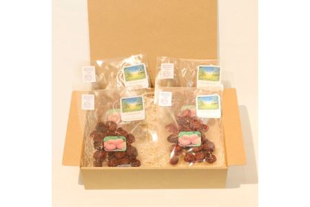 AA009 アン・エリザベス・ファームのドライトマト　ドライトマト 20ｇ×4袋 無添加 とまと ミニトマト 野菜 やさい ドライ 保存料無し