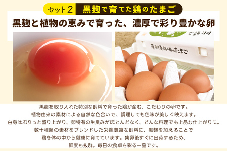 ＼薄羽養鶏場の濃厚たまごを使用／ たまごセット 濃厚たまご＆絶品加工品 6点セット｜栃木県 益子町 たまご 卵 タマゴ 平飼い 酵母平飼い 人気 濃厚 食べチョク カレー チキンカレー プリン とろた