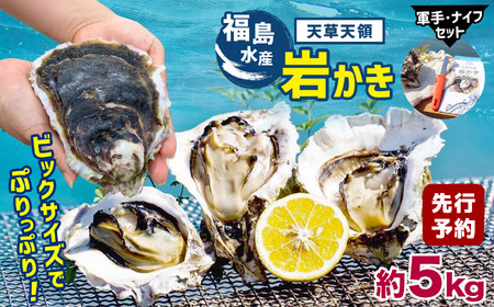 福島水産の天草天領岩かき 約5kg |  牡蠣 岩牡蠣 カキ 牡蠣 岩牡蠣 カキ 牡蠣 岩牡蠣 カキ 牡蠣 岩牡蠣 カキ 牡蠣 岩牡蠣 カキ 牡蠣 岩牡蠣 カキ 牡蠣 岩牡蠣 カキ 牡蠣 岩牡蠣 カキ 牡蠣 岩牡蠣 カキ 牡蠣 岩牡蠣 カキ 牡蠣 岩牡蠣 カキ 牡蠣 岩牡蠣 カキ 牡蠣 岩牡蠣 カキ 牡蠣 岩牡蠣 カキ 牡蠣 岩牡蠣 カキ 牡蠣 岩牡蠣 カキ 牡蠣 岩牡蠣 カキ 牡蠣 岩牡蠣 カキ 牡蠣 岩牡蠣 カキ 牡蠣 岩牡蠣 カキ 牡蠣 岩牡蠣 カキ 牡蠣 岩牡蠣 カキ 牡蠣 岩牡蠣 カキ 牡蠣 岩牡