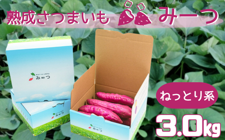 【予約受付中・2026年11月頃より順次発送】熟成さつまいも みーつ (ねっとり系) 3.0kg ｜ 紅はるか べにはるか 甘い ねっとり 熟成 国産 産地直送 スイーツ おやつ 焼き芋 焼芋 焼きいも スイートポテト 天ぷら 干し芋 ギフト お土産 おみやげ