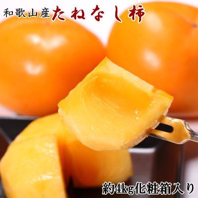 ふるさと納税 すさみ町 【秋の味覚】和歌山産たねなし柿約4kg 化粧箱入り(2L〜4Lサイズ)【tec409A】