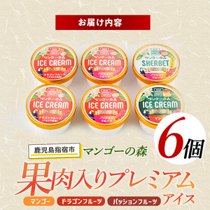 ゴロゴロ果肉入りプレミアムアイス6個セット マンゴーの森 IB040-007 アイス アイス