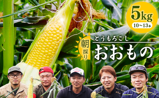 朝採り 農家直送 とうもろこし 5kg「おおもの」（10 - 13本） 山形産 【2025年8月上旬頃から9月下旬頃発送予定】　012-B-HK011