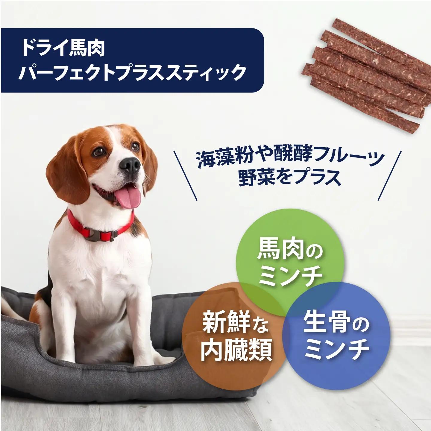 ドライ馬肉パーフェクトプラス スティック 50g×3袋【ディアラ】[AKGU015]