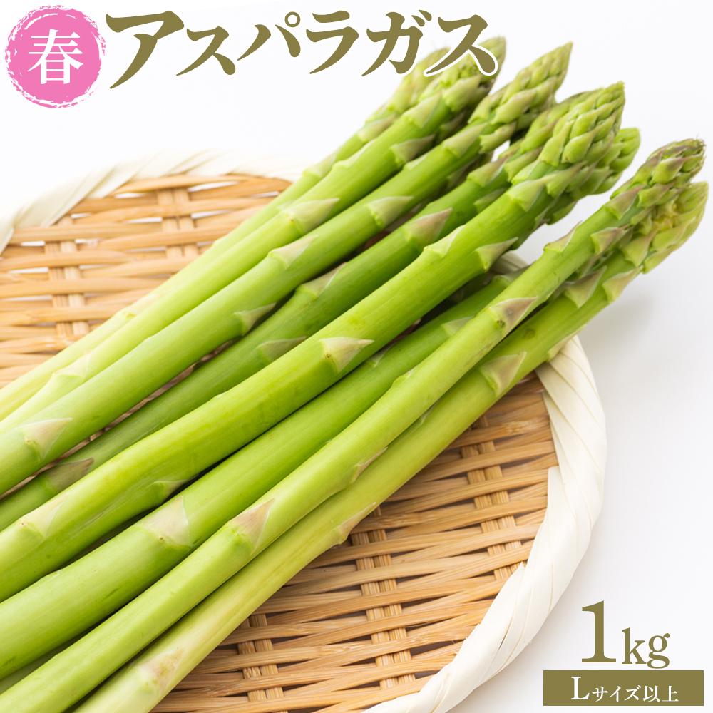 【ふるさと納税】【先行予約】春アスパラガス 1kg Lサイズ以上 2026年1月下旬頃より発送