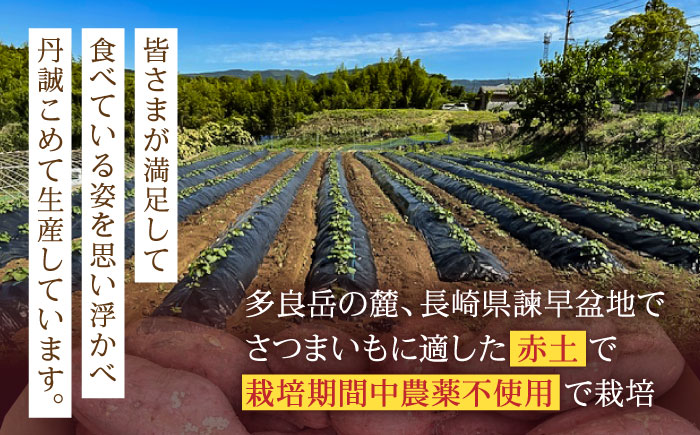 ※【2025年11月より順次発送／先行予約】栽培期間中農薬不使用 安納芋 5kg / いも イモ 芋 さつまいも さつま芋 サツマイモ 安納芋 スイーツ / 諫早市 / ふるさと有明ファーム [AHA