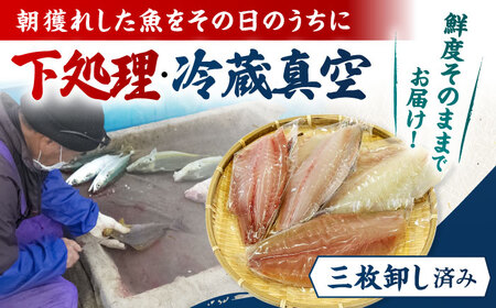 【全3回定期便】金澤仕立て 鮮魚ボックス 旬の魚4種 鮮魚 簡単 旬 海鮮 真空 冷蔵 五島市/金沢鮮魚[PEP015]