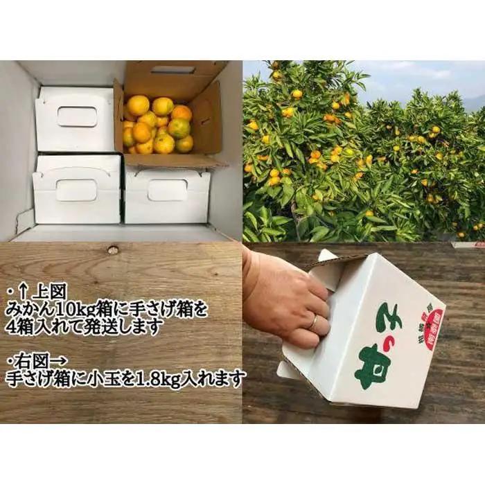 極早生 有田 みかん 小玉ちゃん 等級 混合 1.8kg × 4箱 南泰園 和歌山 有田みかん