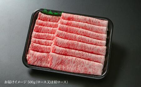 【冷蔵】飛騨牛 霜降りスライス（すき焼き/しゃぶしゃぶ）500g 真空パック | 牛肉 肉 和牛 霜降り 飛騨高山ミート MZ033〔飛騨牛国産　飛騨牛和牛　飛騨牛ブランド　飛騨牛黒毛和牛〕