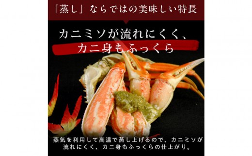 タグ付き 蒸し松葉蟹×1枚（350g前後）【鳥取県 境港市】