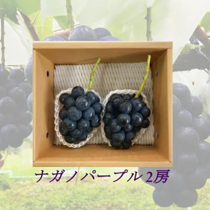 【ふるさと納税】【2025年9月より順次発送】信州産ナガノパープル2房（合計1kg以上）大粒＆大房 果物 ぶどう フルーツ 種なし 皮ごと 食べ応え 秋の味覚 　お届け：2026年8月末より順次発送