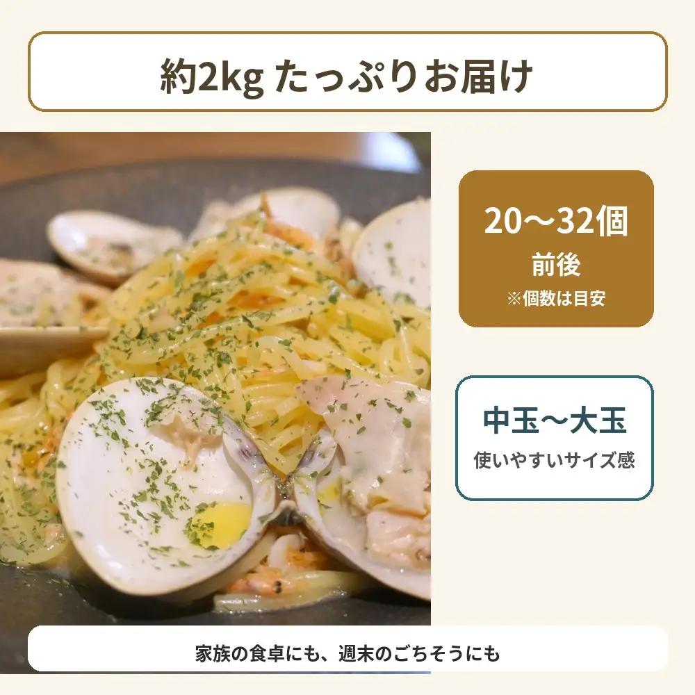 九十九里産　天然　活はまぐり（中玉～大玉） 約2kg（20～32個前後） / はまぐり ハマグリ 蛤 天然 活はまぐり 活ハマグリ 活蛤 中玉 大玉 貝 貝類 魚介 魚貝 海鮮 2kg 九十九里産 産