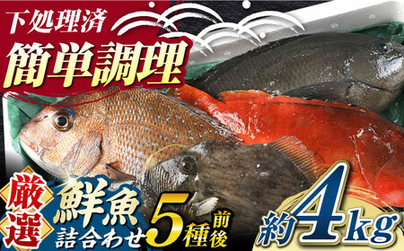 【期間限定！】対馬産 鮮魚 詰め合わせ 5種前後 4.0kg 新鮮 天然 直送 冷蔵 セット  [WAH022]